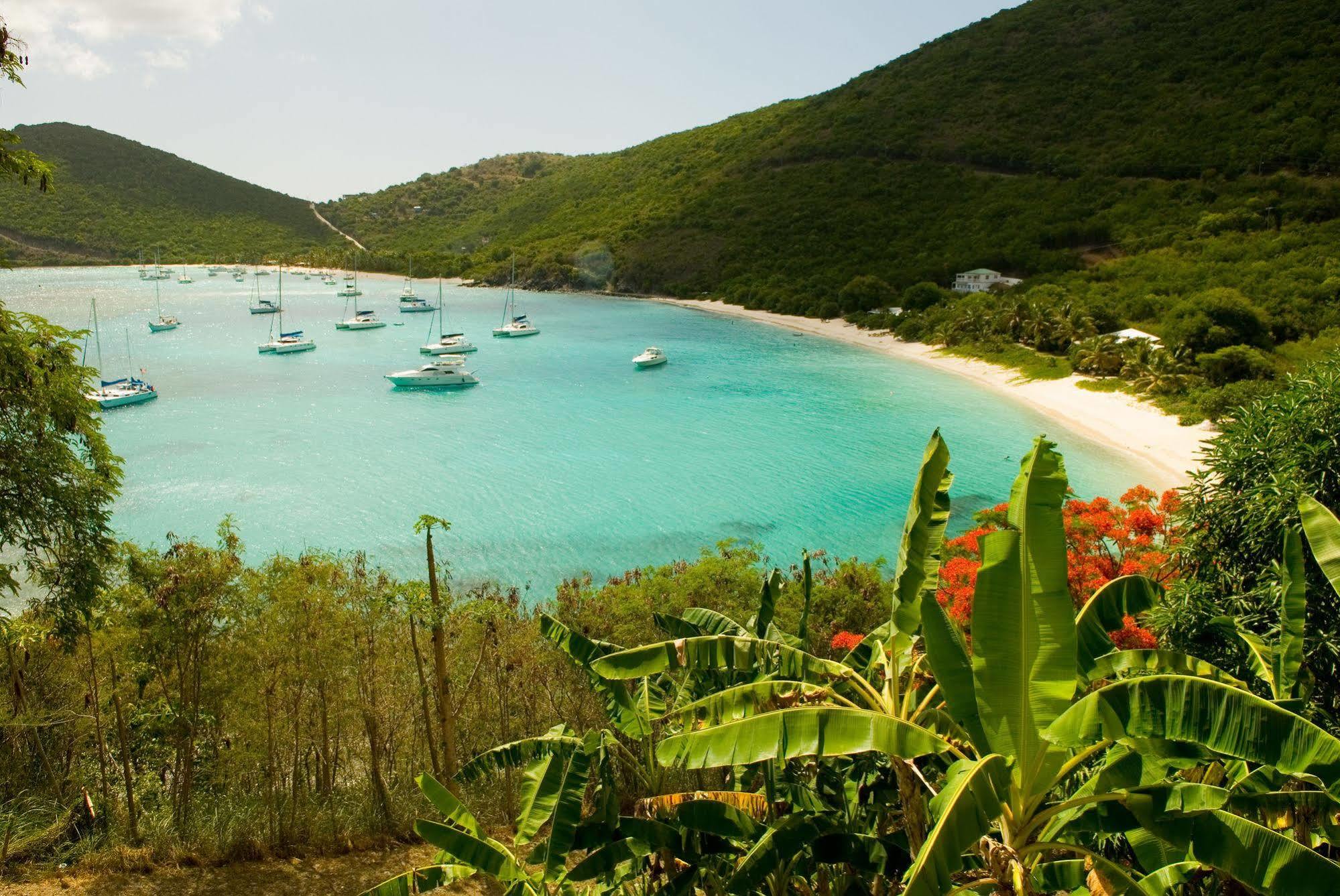 White Bay Villas And Beach Club Jost Van Dyke Extérieur photo